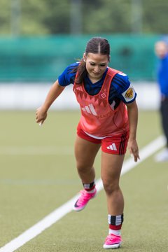 Bild 265 - wBJ Hamburger SV - FC Suederelbe : Ergebnis: 9:0